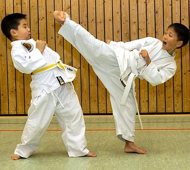 taekwondo vs karate - Taekwondo Kinder