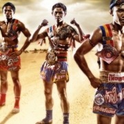 Muay thai Tipps Muay Thai