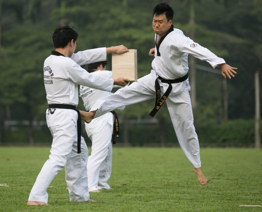 Taekwondo Prüfungsordnung