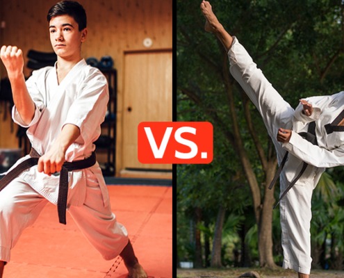 taekwondo vs karate